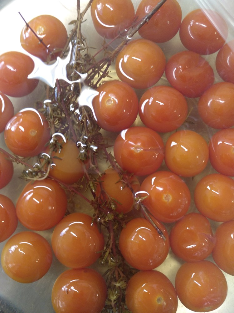 IMG_20190413_113707_789 (1)